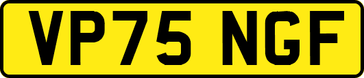 VP75NGF