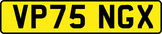 VP75NGX