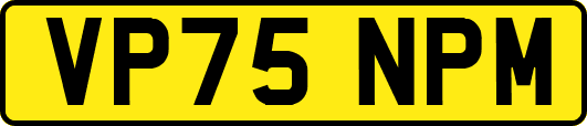 VP75NPM