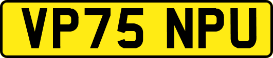 VP75NPU