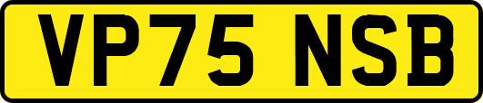 VP75NSB