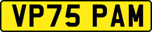 VP75PAM