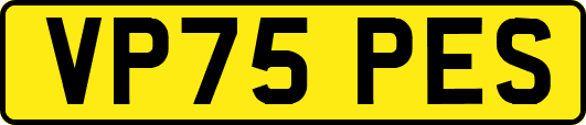 VP75PES