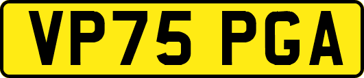 VP75PGA