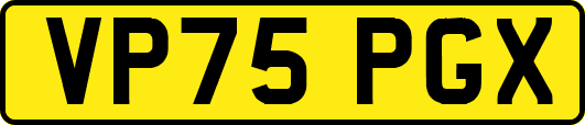 VP75PGX