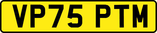 VP75PTM