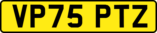 VP75PTZ