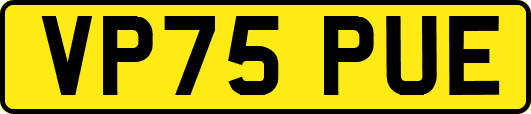 VP75PUE