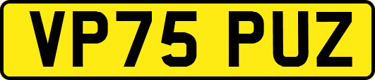 VP75PUZ