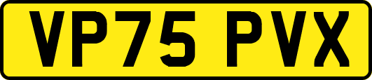 VP75PVX