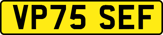 VP75SEF