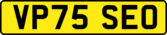 VP75SEO