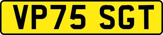 VP75SGT