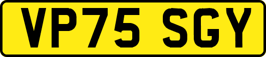 VP75SGY