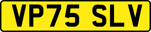 VP75SLV