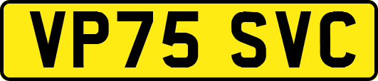 VP75SVC