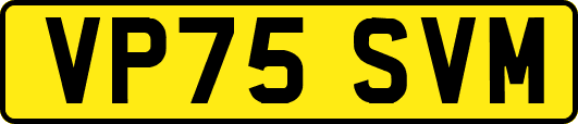 VP75SVM