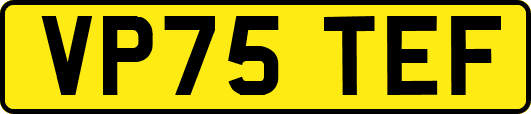 VP75TEF