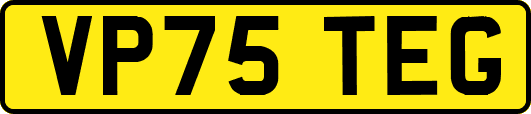 VP75TEG