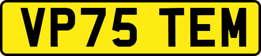 VP75TEM