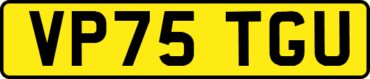 VP75TGU