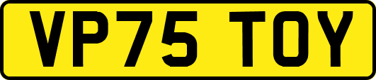 VP75TOY