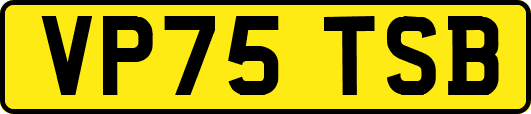 VP75TSB