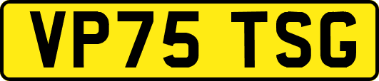 VP75TSG