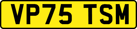 VP75TSM