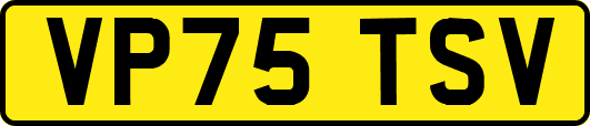 VP75TSV