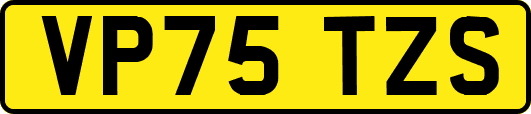 VP75TZS