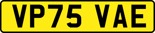 VP75VAE