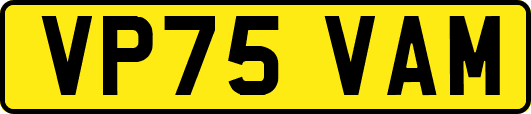 VP75VAM