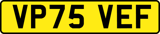 VP75VEF