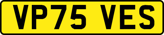 VP75VES