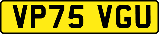 VP75VGU