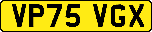 VP75VGX