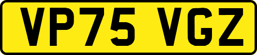 VP75VGZ