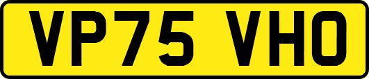 VP75VHO