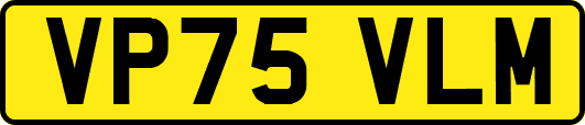 VP75VLM