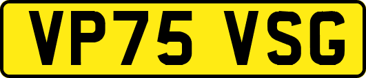 VP75VSG