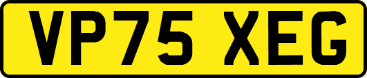 VP75XEG