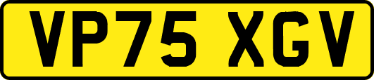 VP75XGV