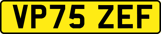VP75ZEF