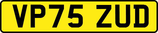 VP75ZUD