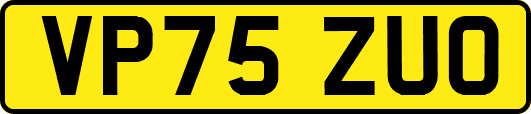 VP75ZUO