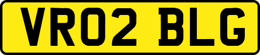 VR02BLG