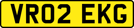 VR02EKG