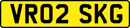 VR02SKG