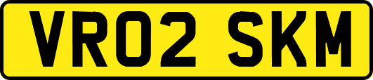 VR02SKM